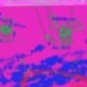 Profile photo of Agent Orange